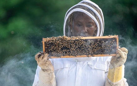 Bee Keeper